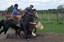 Argentina-Corrientes-Esquina Gaucho Week